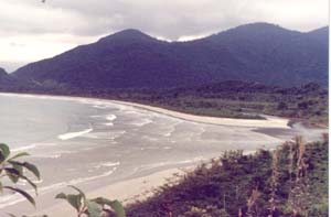 Vista geral da praia da Fazenda, a mais extensa de Ubatuba